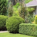 Revitalize Your Yard: Expert Landscaping And Tree Care Strategies For Maximizing Curb Appeal In Marion, NC
