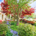 Enhance Your Curb Appeal with Expert Tree Care in Philadelphia