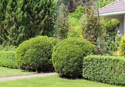 Revitalize Your Yard: Expert Landscaping And Tree Care Strategies For Maximizing Curb Appeal In Marion, NC