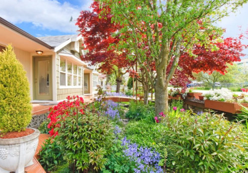 Enhance Your Curb Appeal with Expert Tree Care in Philadelphia