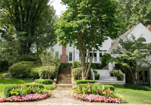 Branching Out: The Secret To Stunning Curb Appeal With Leesburg's Leading Tree Contractor